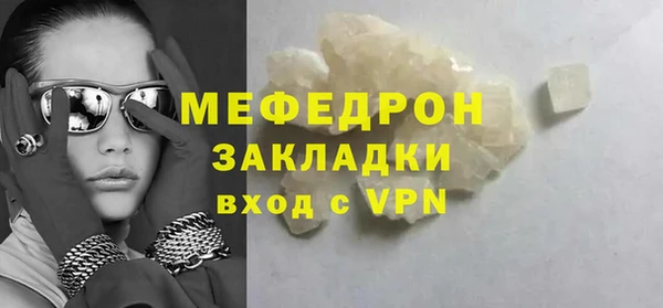 индика Богородицк